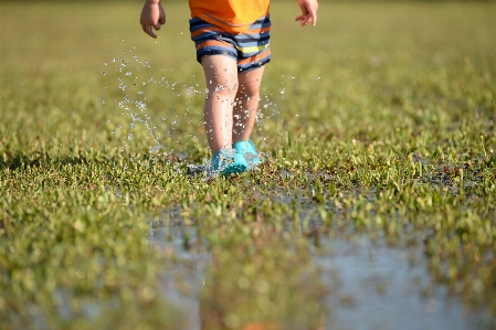 Water grass walking person Photo