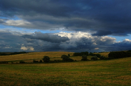 Foto Paisagem árvore natureza grama