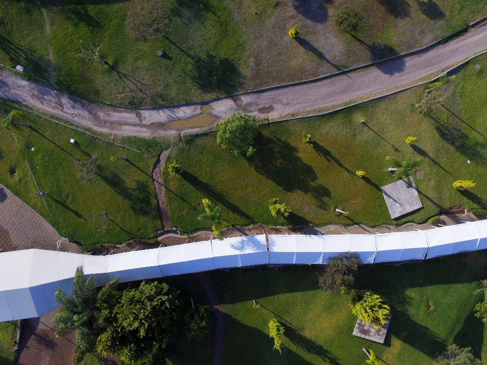 Tree road bridge building