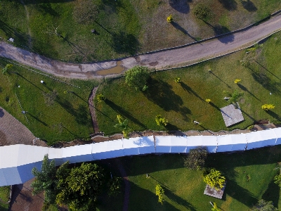 Tree road bridge building Photo