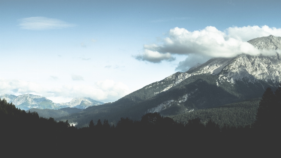 Nature forest wilderness mountain