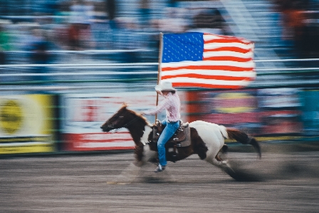 Foto Gerakan kuda bendera amerika
 jantan