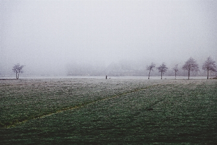 Zdjęcie Drzewo woda horyzont śnieg