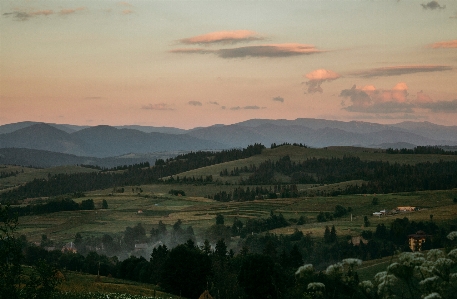 Landscape nature forest mountain Photo