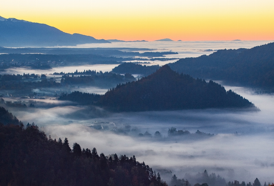 Landschaft natur wald wildnis
