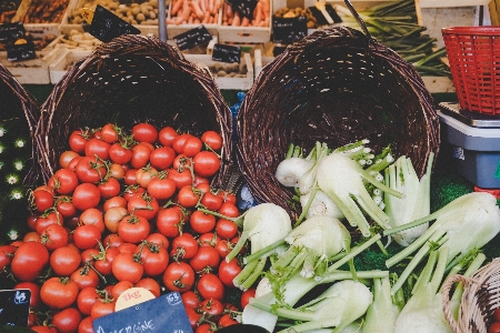 Anlage essen produzieren gemüse Foto