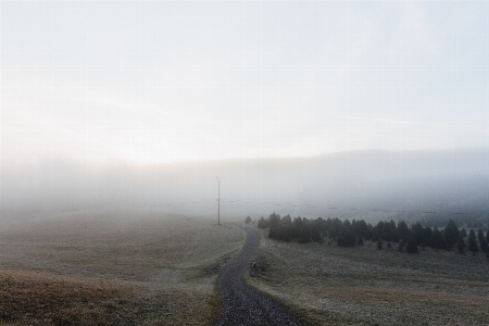 Landscape nature path horizon Photo