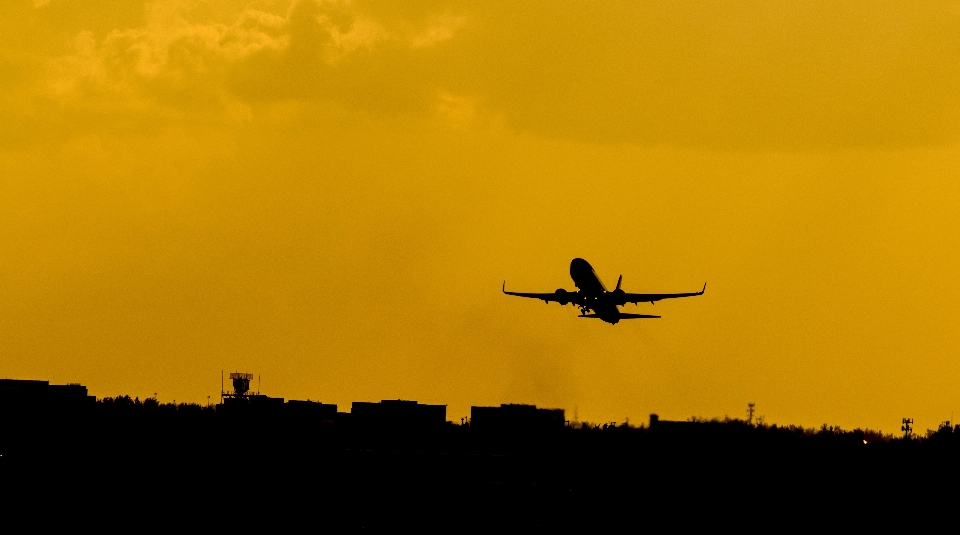 地平線 羽 クラウド 空