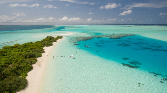 Beach sea coast sand Photo