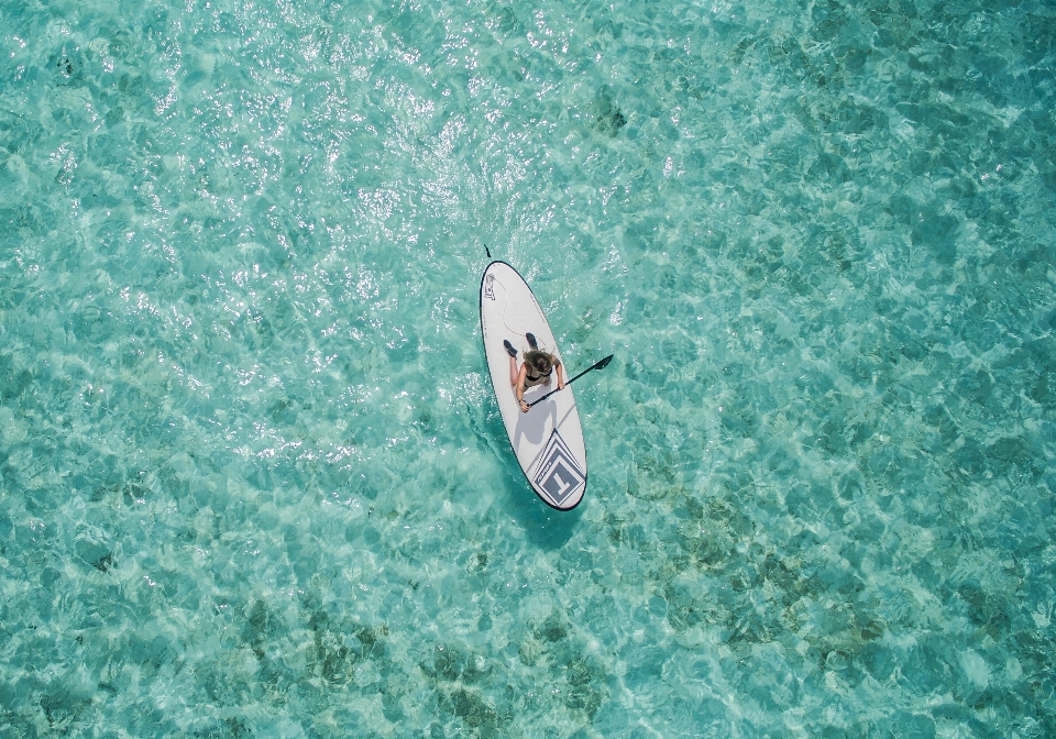 Mar ola submarino verde