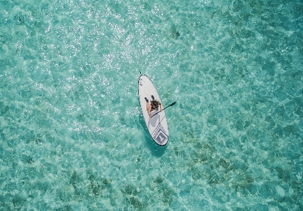 海 波 水中 緑 写真