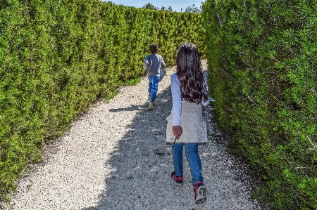 Photo Herbe extérieur marche randonnée
