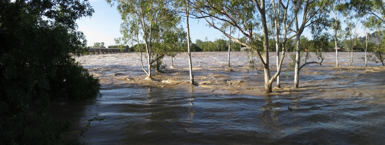 Water nature swamp rain Photo