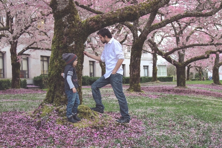 Man tree grass outdoor Photo