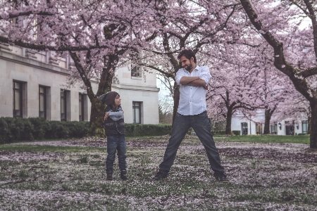 Man tree blossom people Photo