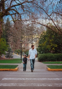 Man tree outdoor walking Photo