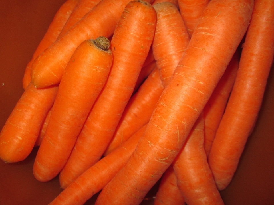 Essen produzieren gemüse karotte