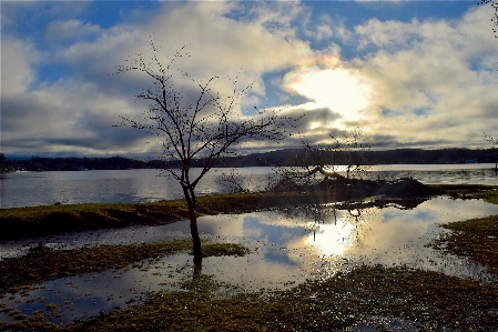 Landscape sea tree water Photo