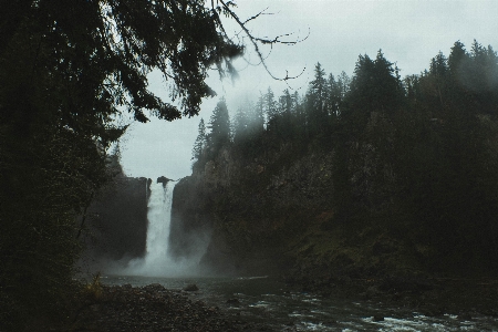 Wasser natur wald rock Foto