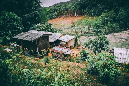 Tree mountain structure farm Photo