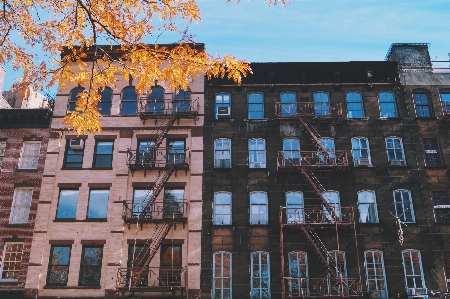 Baum die architektur struktur haus Foto