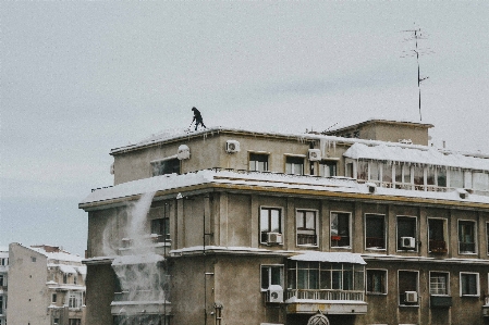 建築 家 街 城 写真