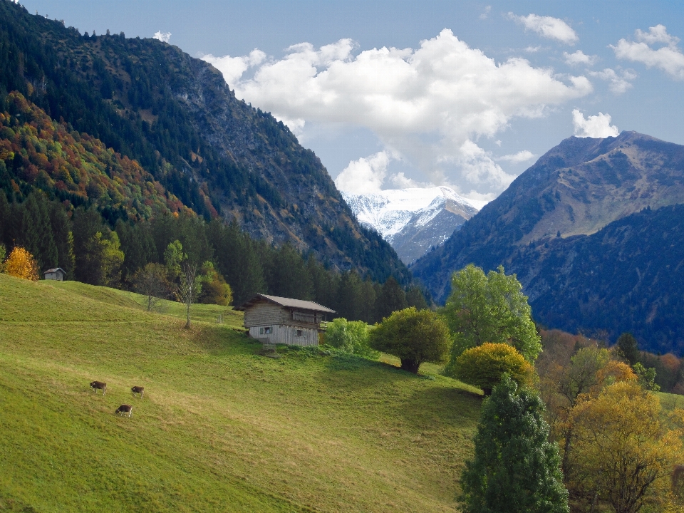 Paysage nature région sauvage
 marche