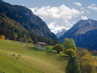 Foto Paesaggio natura selvaggia
 a piedi