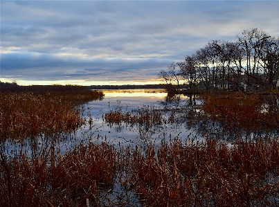 Landscape sea tree water Photo