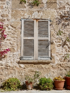 Plant wood window building Photo