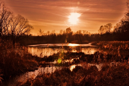 Landscape tree water nature Photo