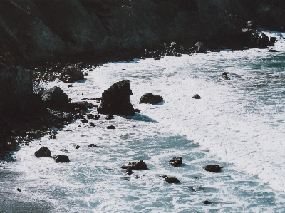 Sea coast water rock Photo