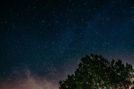 木 空 夜 星 写真