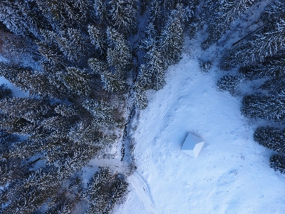 木 山 雪 冬 写真