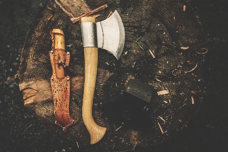 Hand trunk log darkness Photo