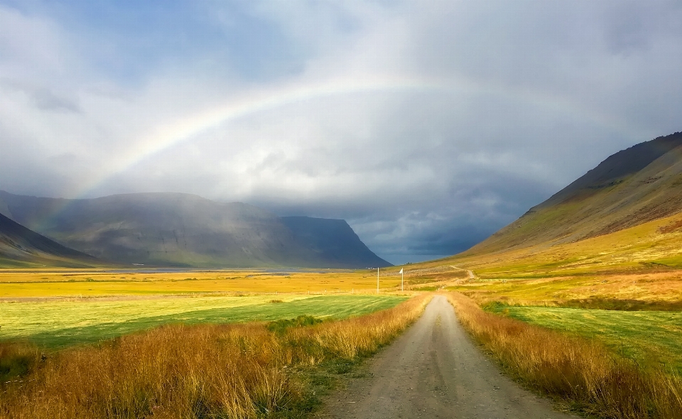 Landscape nature grass horizon