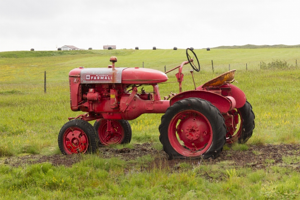 Fieno trattore campo azienda agricola