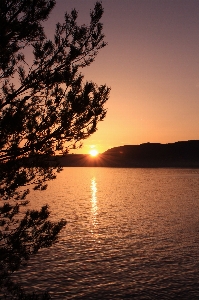 Landscape sea tree nature Photo