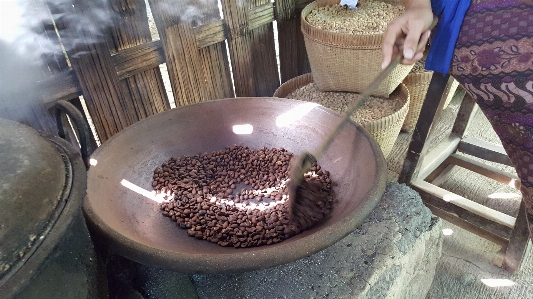 Coffee bean food bali Photo