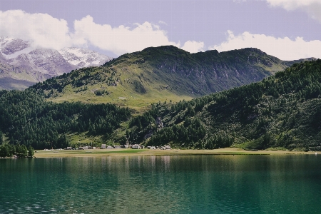 風景 水 自然 森 写真