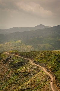 Landscape coast tree nature Photo