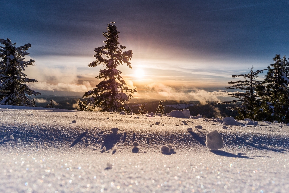 景观 树 山 雪