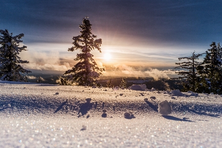 風景 木 山 雪 写真