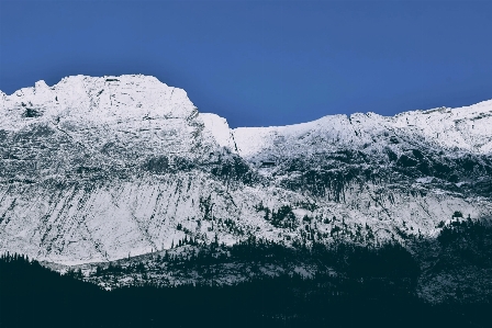 Foto Floresta montanha neve inverno