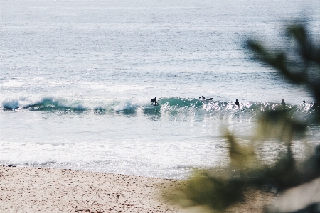 Beach sea coast water Photo