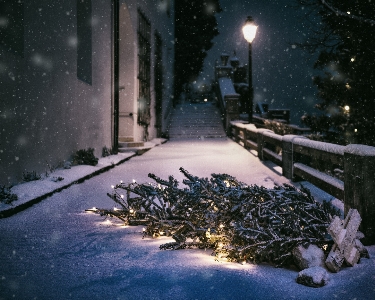 Snow winter night weather Photo