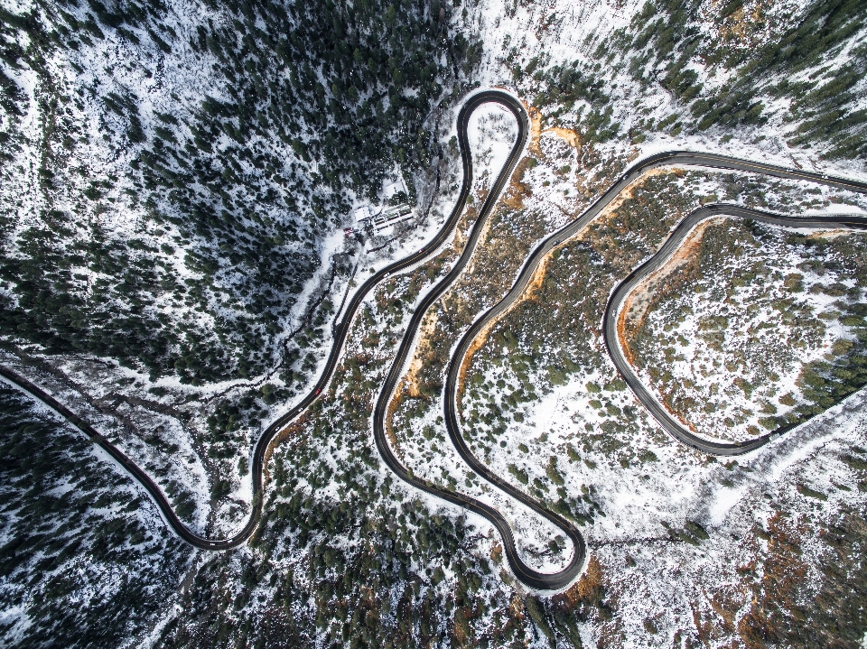 Arbre eau bifurquer neige