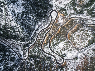 Фото дерево вода ветвь снег