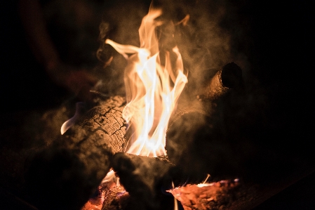 Wood night sparkler log Photo