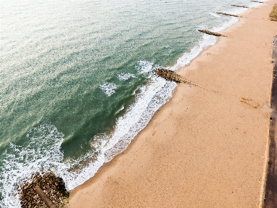 Beach sea coast water Photo